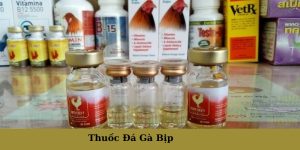 Thuốc Đá gà bịp